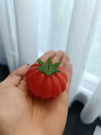 Solniczka pomidor