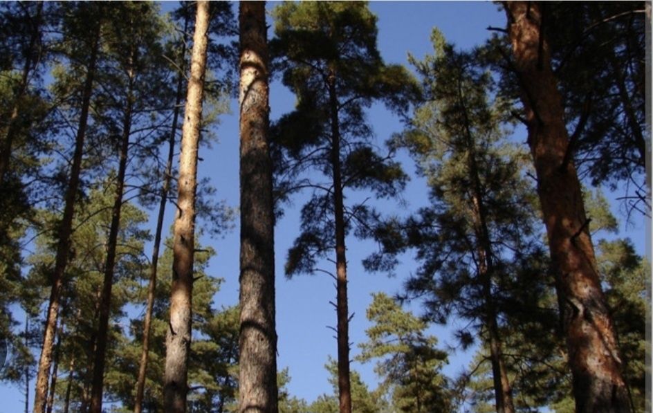 Продаж з РЕМОНТОМ Євро2кім квартира м.Ірпінь