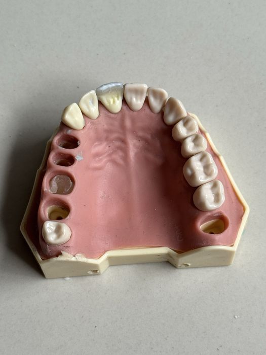 Modelo Frasaco original