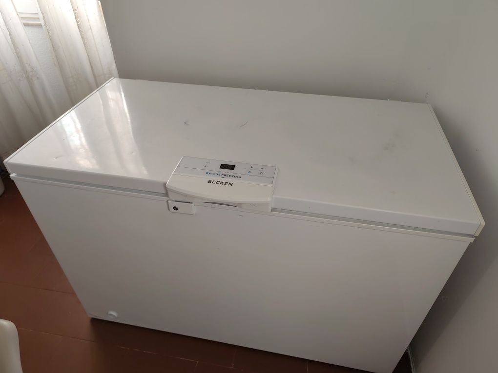 Arca congeladora 300l