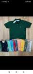Polos de Homem do M ao XXL