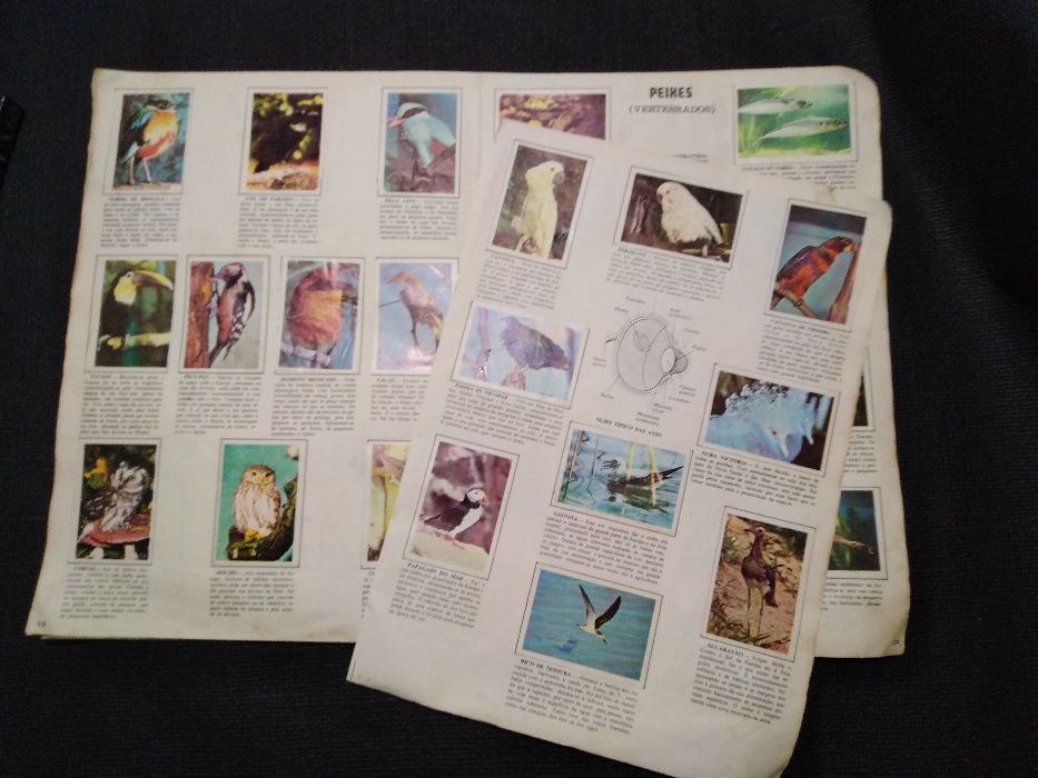 Cadernetas de cromos Anos 80