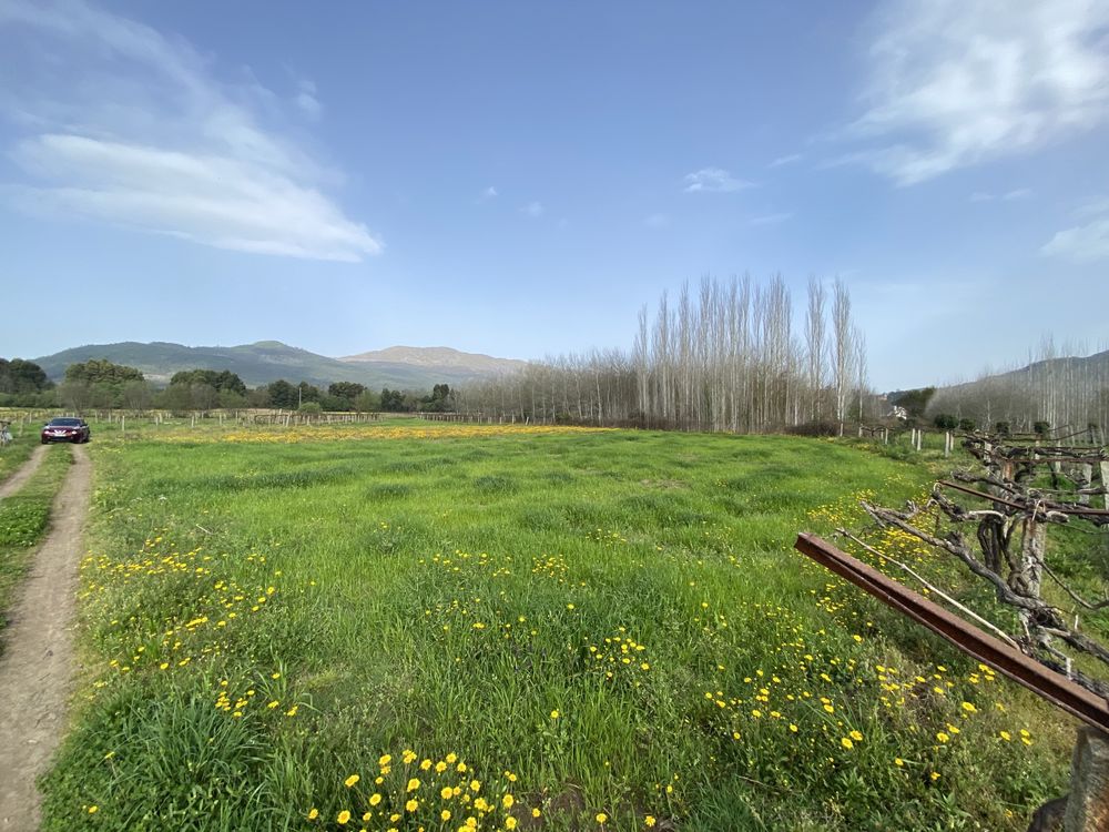 Terreno Ponte de Lima