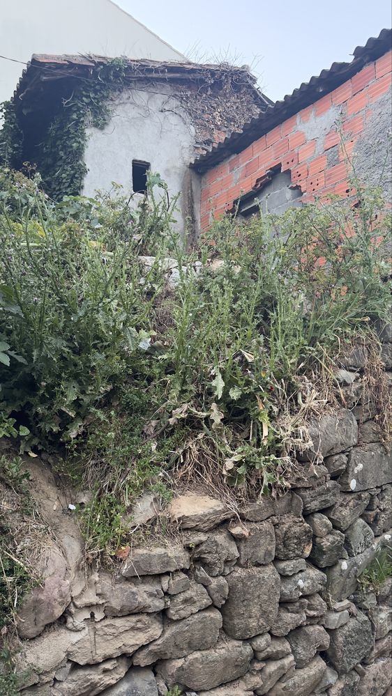 Casa em Ruína para Reconstrução | Donas – Fundão, Castelo Branco