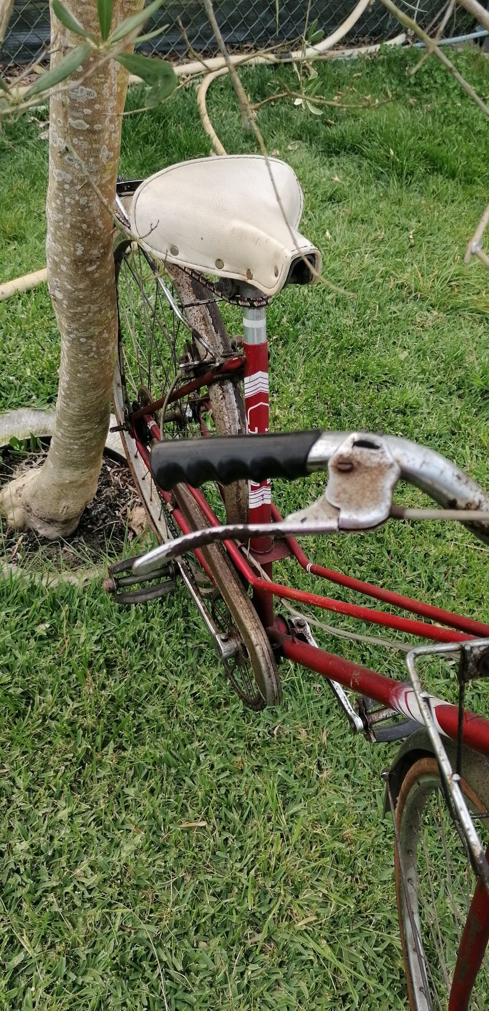 Bicicleta pasteleira