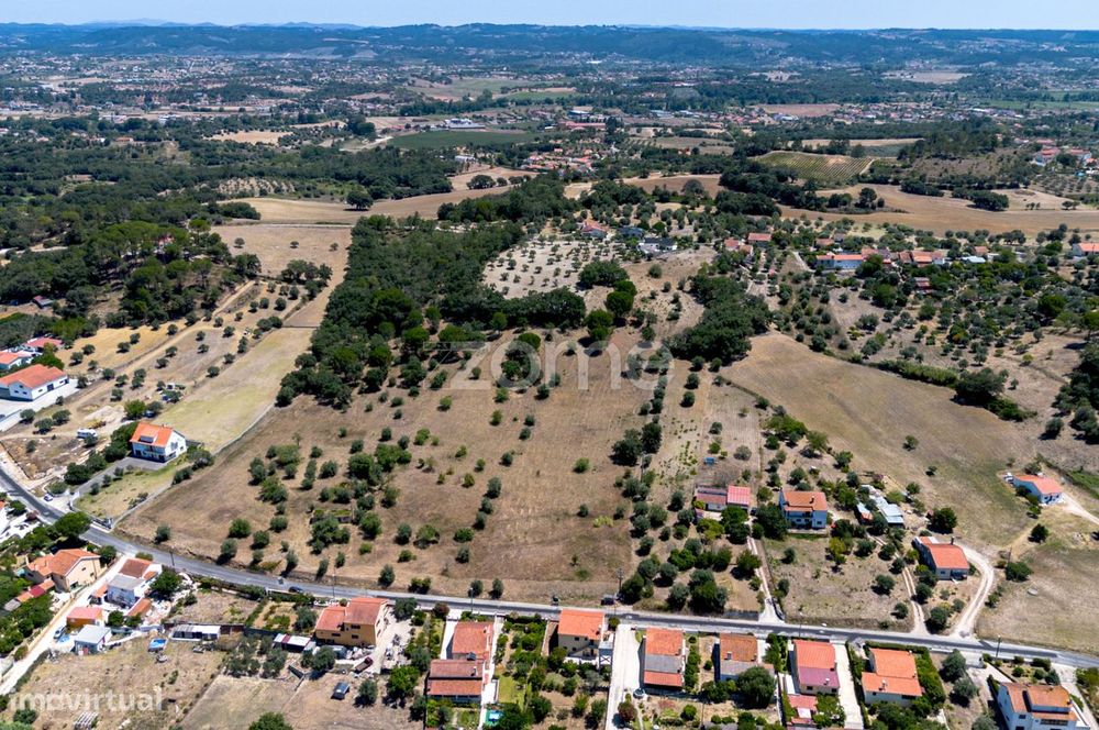 Terreno misto com 3,8 hectares em Tomar