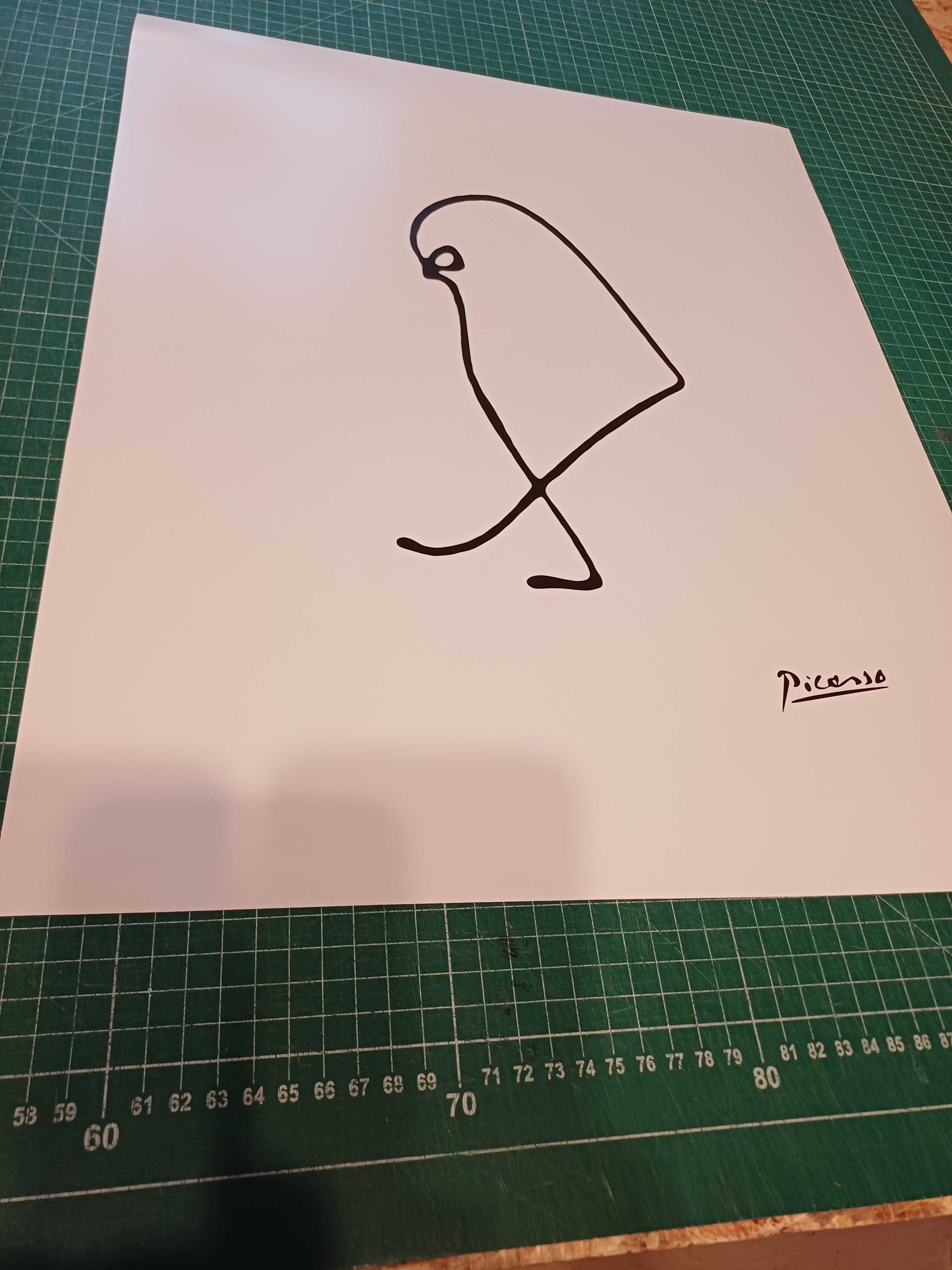 plakat Picasso , wróbel 40x50 cm, nowy, wysyłka w tubie