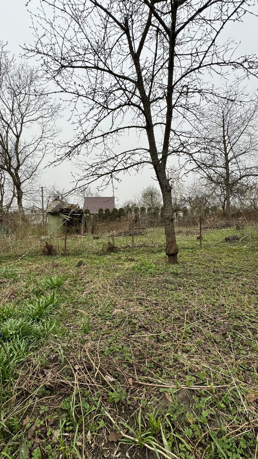 Продам дачу в Збиранці недорого, без комісії!