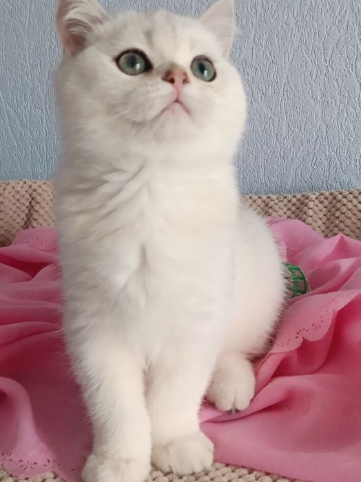 Дуже ласкавий малюк чекає мамочку