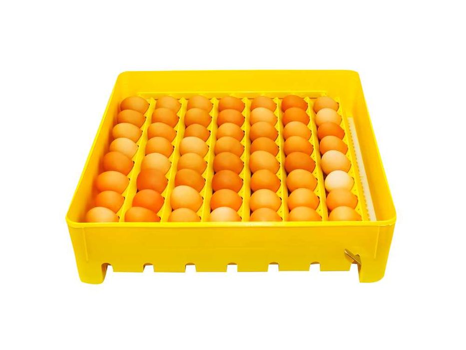 INKUBATOR IO1-P 56 jaj półautomatyczny KLUJNIK wylęgarka PRZEŚWIETLACZ