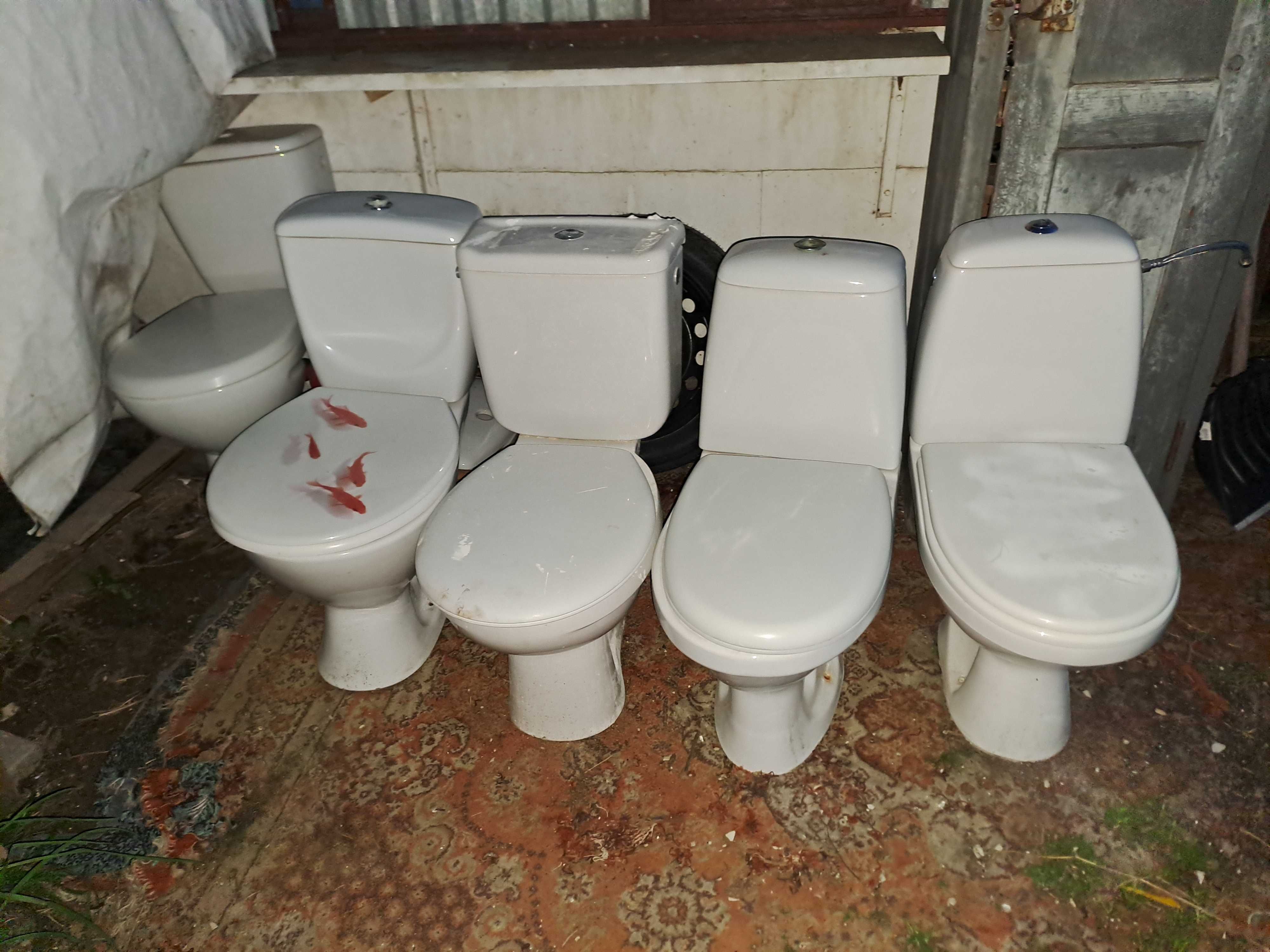 wc sedes bez uszkodzeń