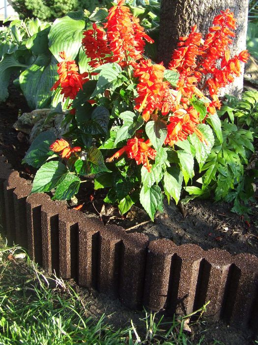 Elastyczna palisada gumowa – ogród, boisko, przedszkole, szkoła