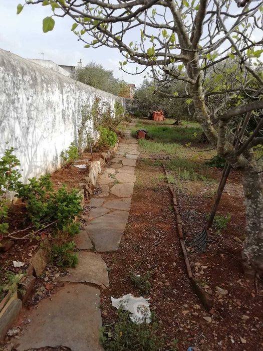 moradia para arrendar