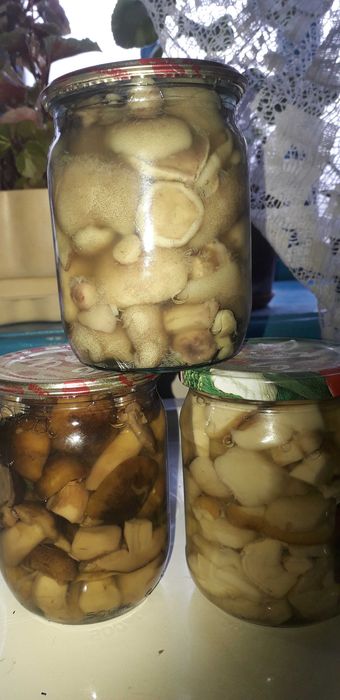 Продам гриби мариновані