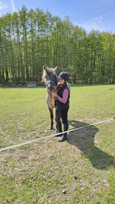 2 konie na sprzedaż HUCUŁEK I KONIK POLSKI