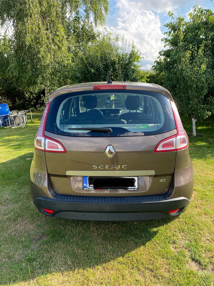Renault Scenic z niskim przebiegiem