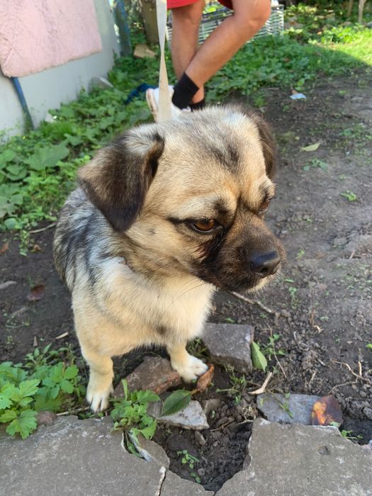 Відаємо у добрі руки