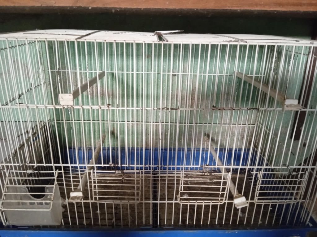 Gaiola para pássaros