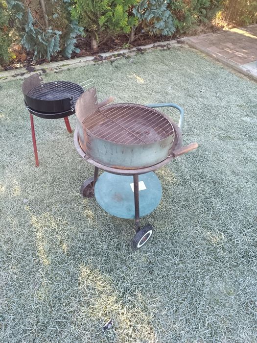 Grill na działkę , ryby 2 sztuki