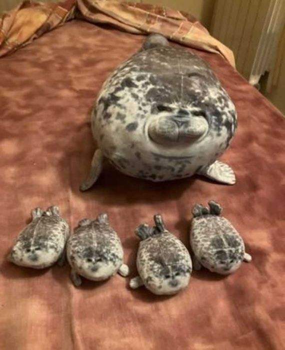 Сімейка  тюленів за 450