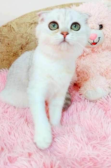 Мальчик милашка с зелёными глазками