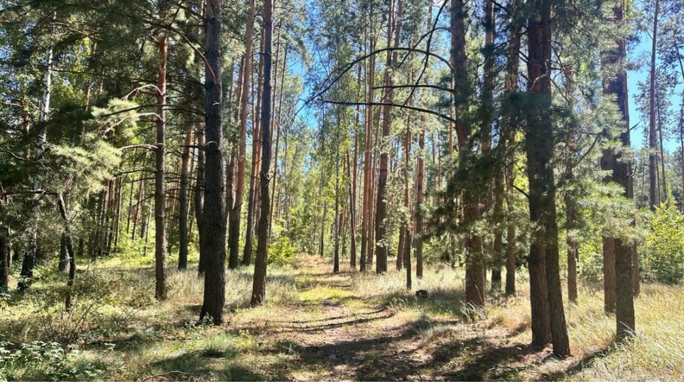 Продаж великої земельної ділянки у Ворзелі
