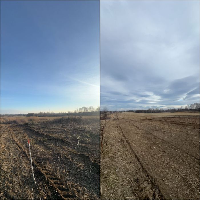 Mulczer Leśny Wycinka Drzew Frezowanie Pni