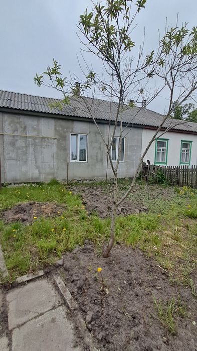 Продам 1/2 будинку в районі 1-ї школи