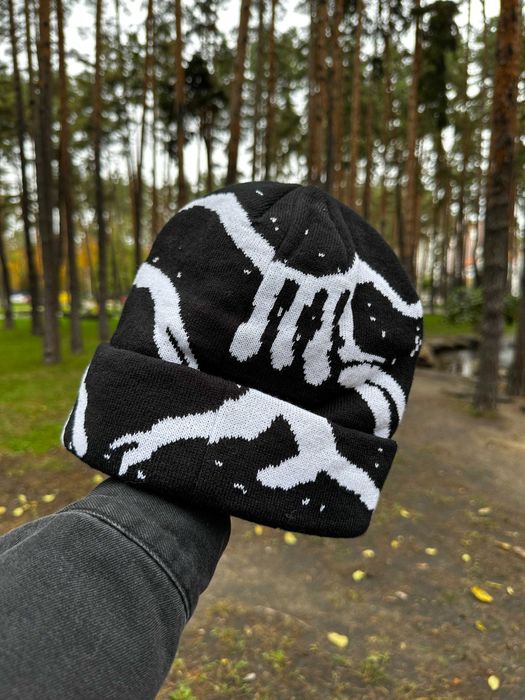 Шапка Arcteryx І Шапка арктерикс І Шапка арктерікс чорна