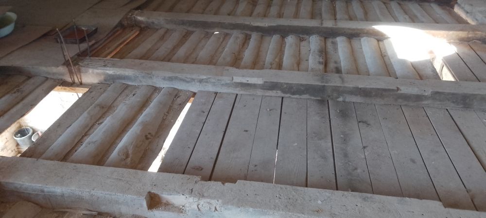 Stare drzewo,legary drewniane .