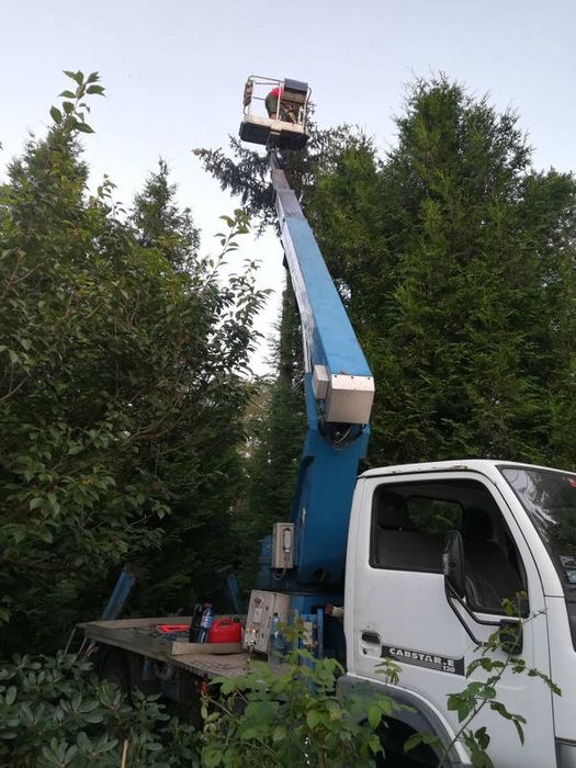 Koszenie trawy, wycinka drzew, usługi rębakiem, czyszczenie działek