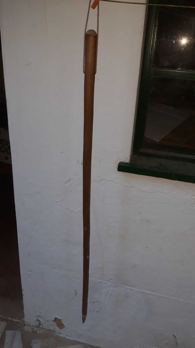 Paú de Caminhante de Colecção Privada #4