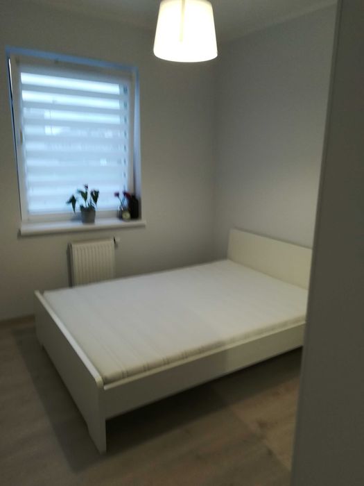 Wynajmę mieszkanie o pow. 40 m2 na I p. przy ul. Odnowiciela 16