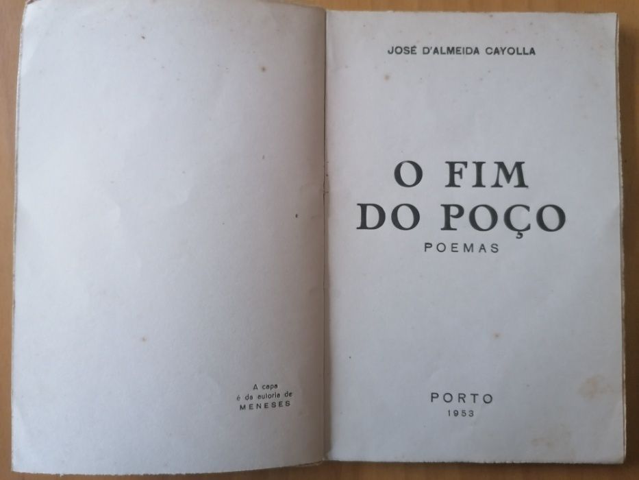 O fim do poço - José d`Almeida Cayolla