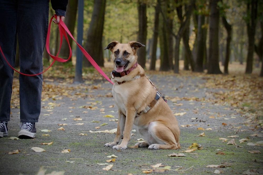 Asha czeka ma swoich ludzi!