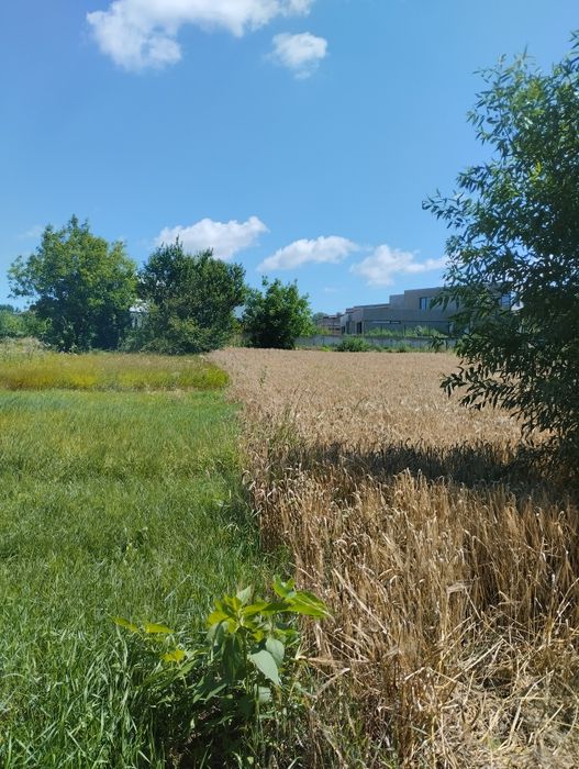 Продаж земельна ділянка, під забудову