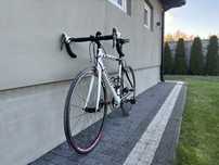 Kolarzówka Wilier Triestina , szosa