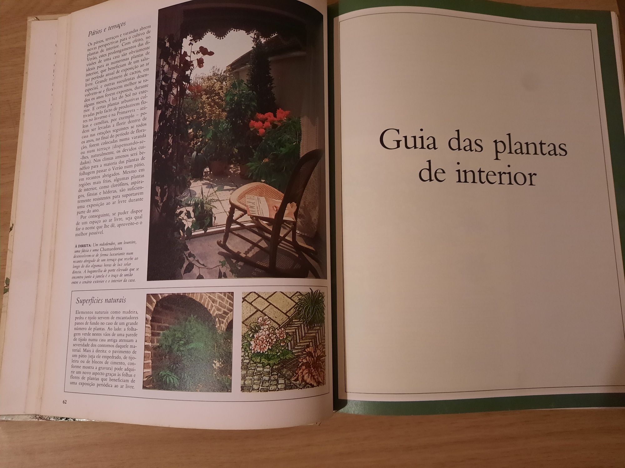 O grande livro das plantas de interior