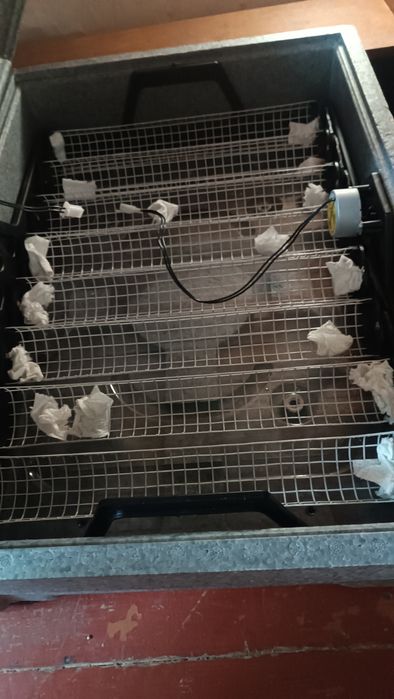 Інкубатор автоматичний  Теплуша PRO 220/50 ТАВ, Новинка, бе