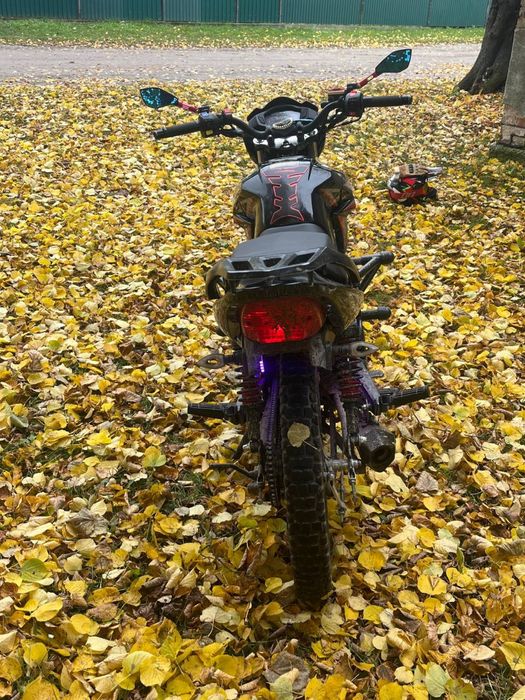 Musstang Fortune 200