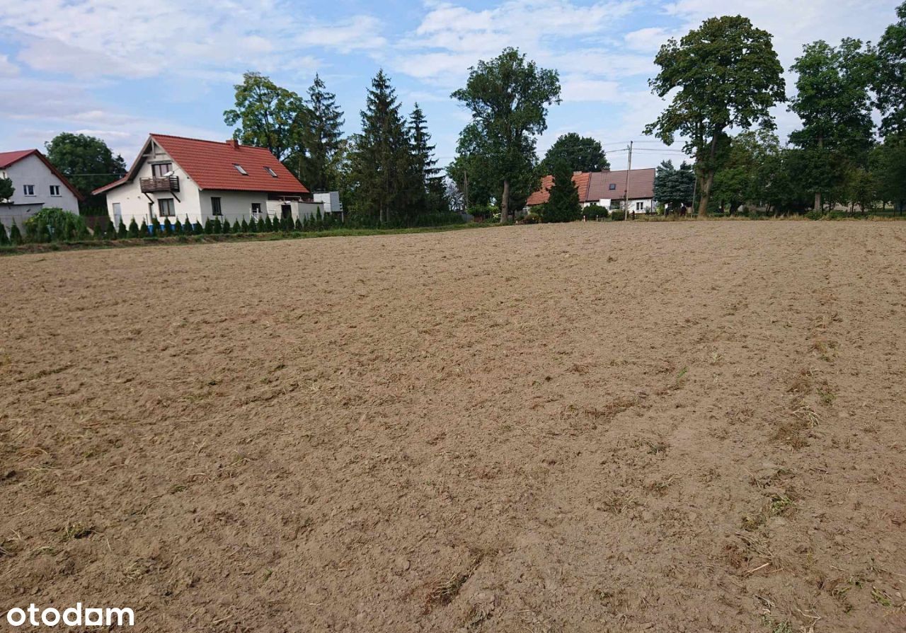 Działki budowlane Robakowo