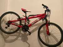 Bicicleta procura novo dono para aventuras a dois