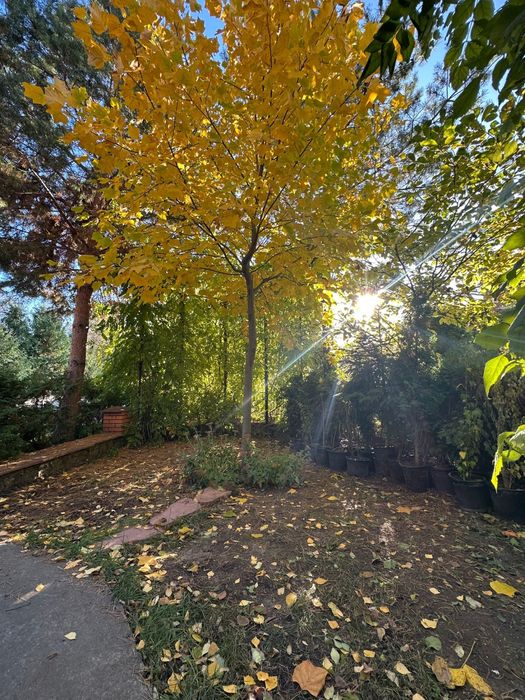 (SALE) -Продаж 6-ти кімн. квартири та ділянки  поряд з вул.Туристів