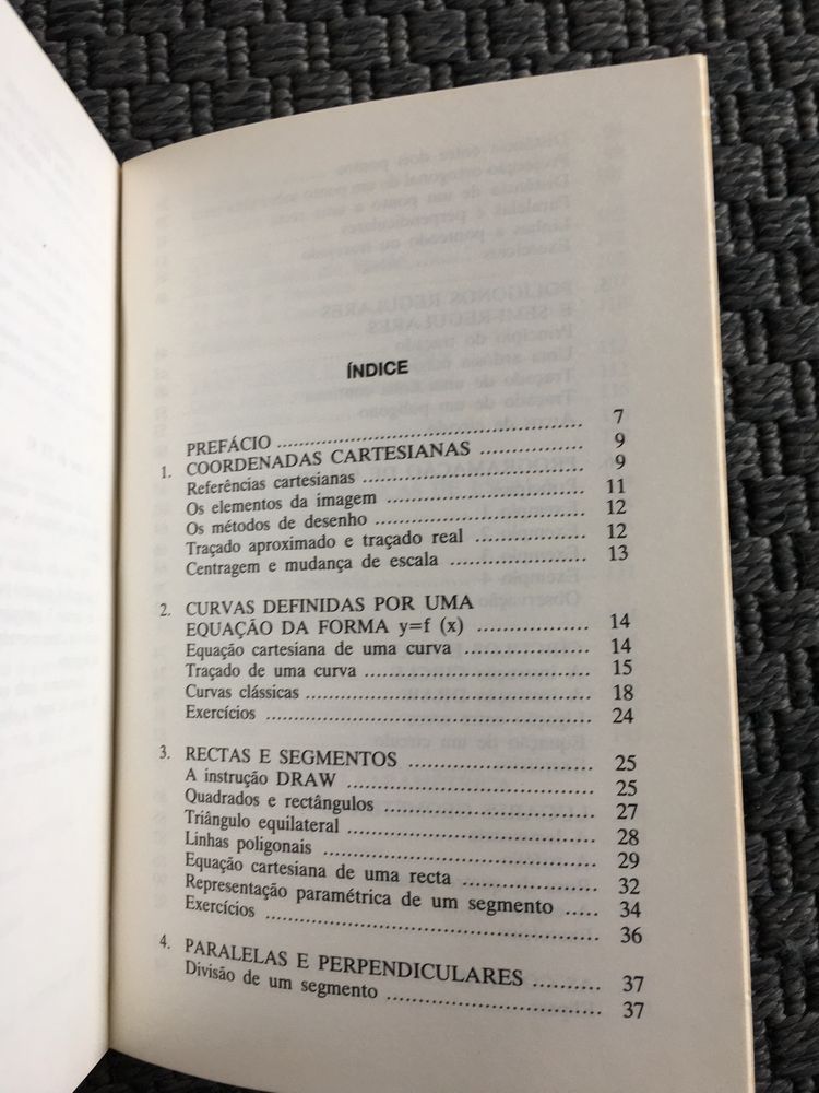 Programar Grafismos no seu Computador - Michel Rousselet