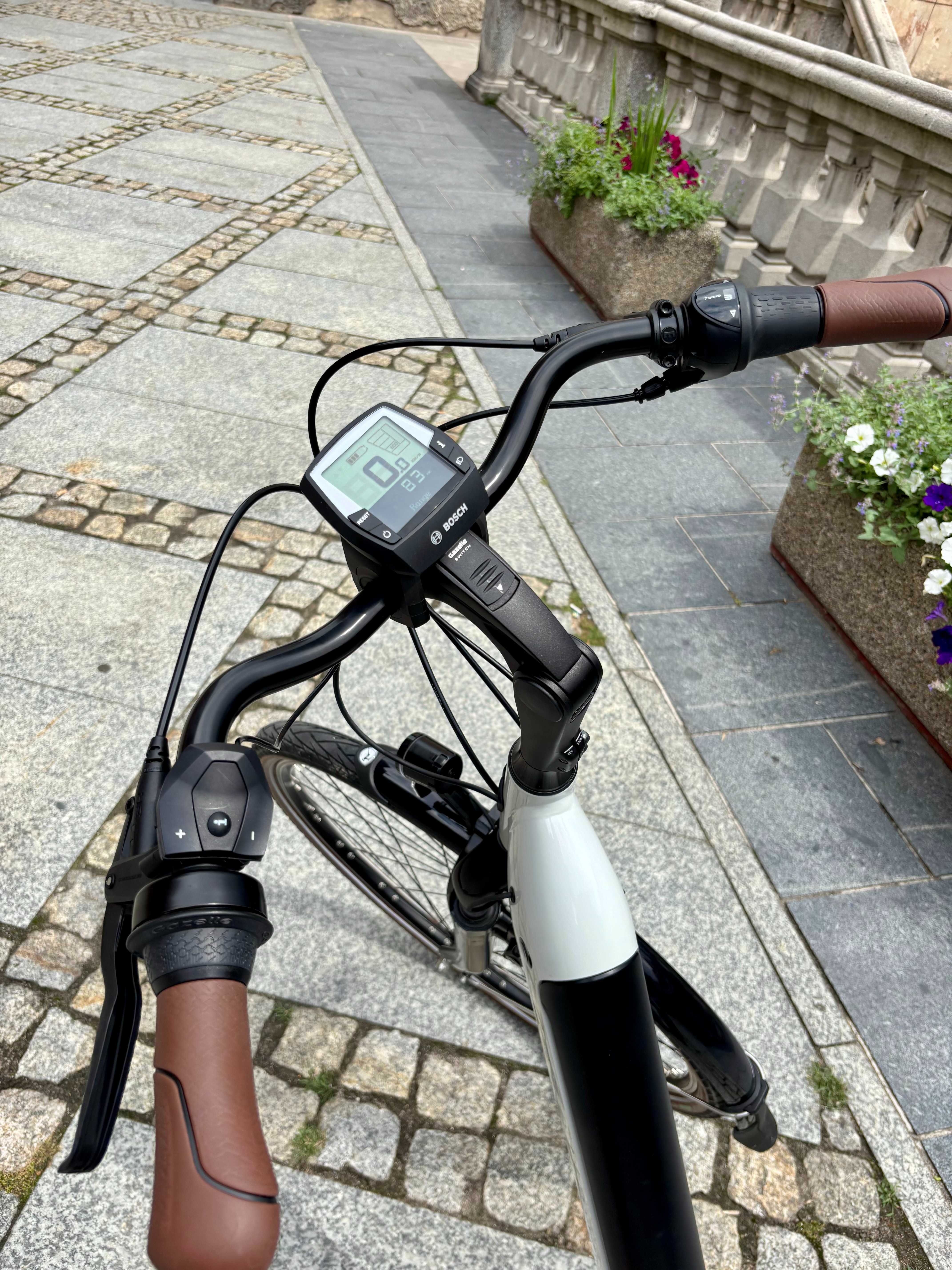 Gazelle rower elektryczny Arroyo Elite C7+, rama 49 cm