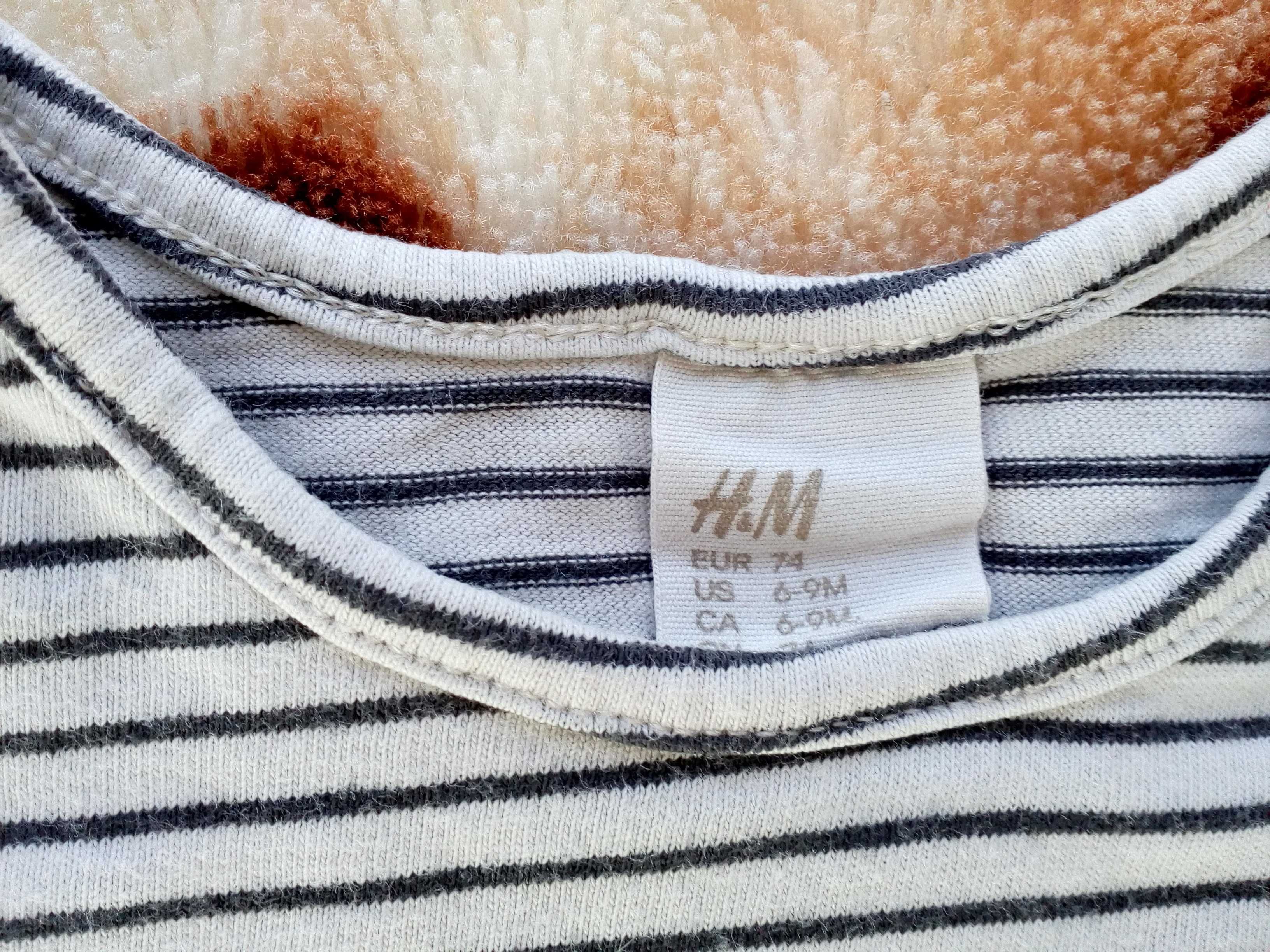 Szara bluzka z długim rękawem w pasy paski H&M 74 miś