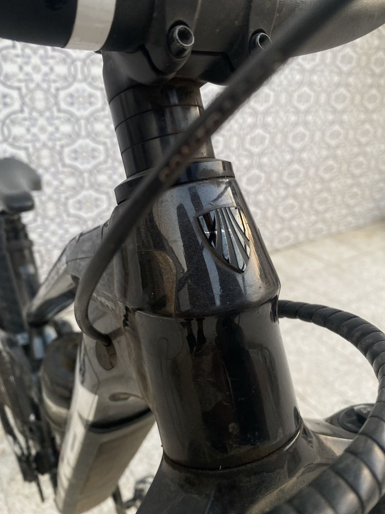 Trek slash 8 (2021)