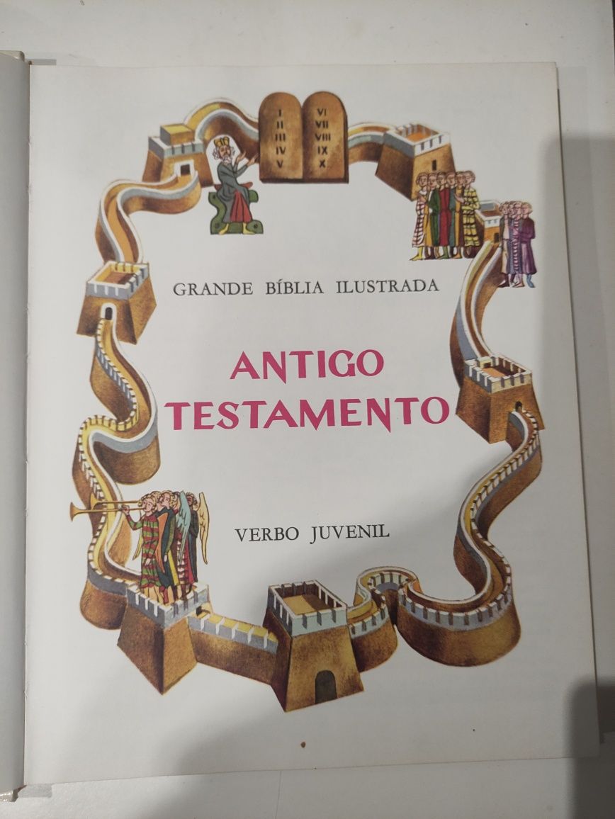 Livro Grande Bíblia Ilustrada