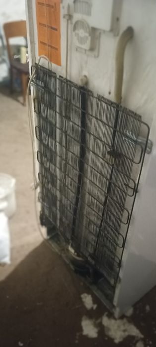 Морозлка в горошму станй