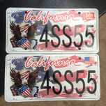Номер парный Калифорния Америка двойной USA license plate California